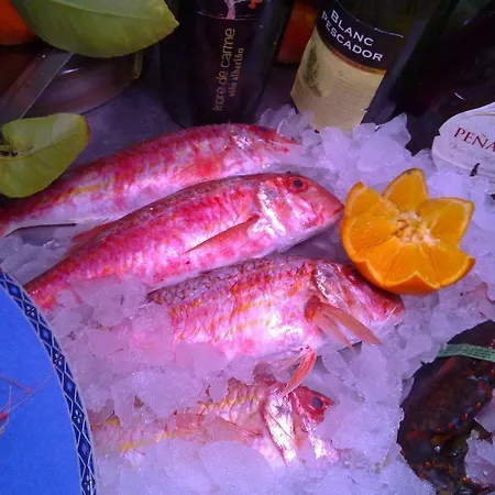 酒店 米卡莎酒店 2*